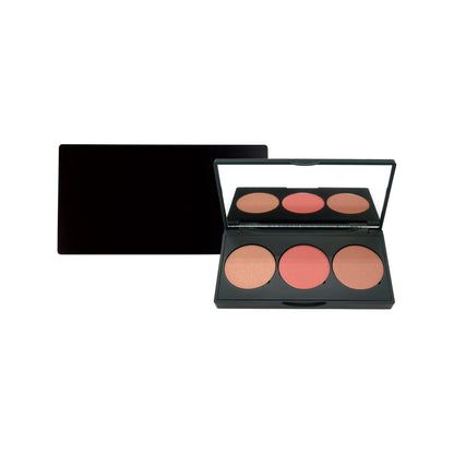 Noor Cosmetics Pro Cheek Palette